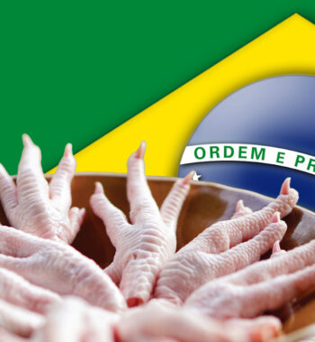 BRAZIL CHICKEN PAWS